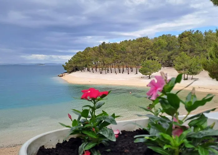 캠프장 Aria Mobile Home, Oaza Mira 5 Star Camping, Dalmatia 드라게